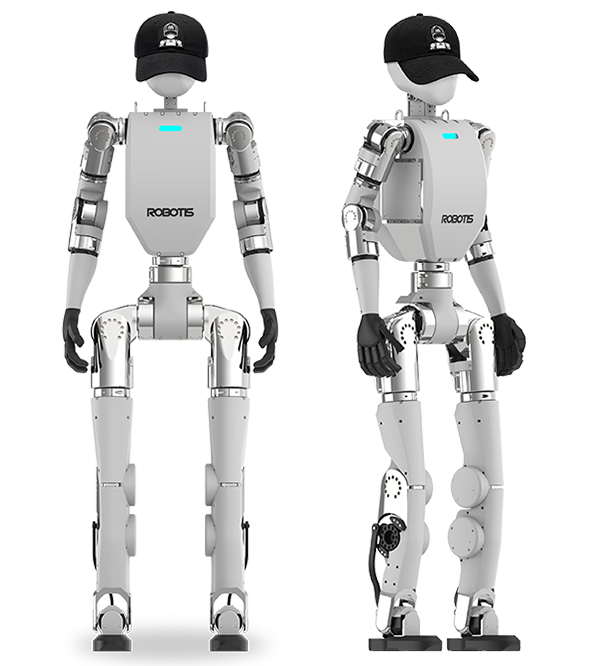 AI Sapiens