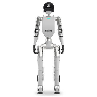 ai sapiens